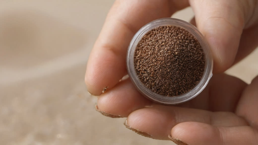 Close up of sediment trapped in a faucet aerator